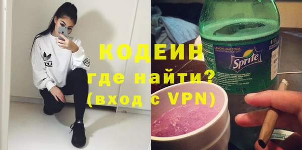 ПСИЛОЦИБИНОВЫЕ ГРИБЫ Арсеньев