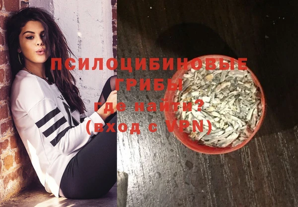 ПСИЛОЦИБИНОВЫЕ ГРИБЫ Арсеньев
