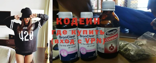 ПСИЛОЦИБИНОВЫЕ ГРИБЫ Арсеньев