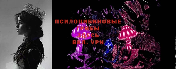 ПСИЛОЦИБИНОВЫЕ ГРИБЫ Арсеньев