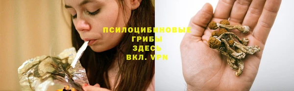 ПСИЛОЦИБИНОВЫЕ ГРИБЫ Арсеньев