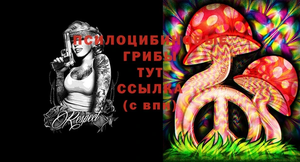 ECSTASY Аркадак