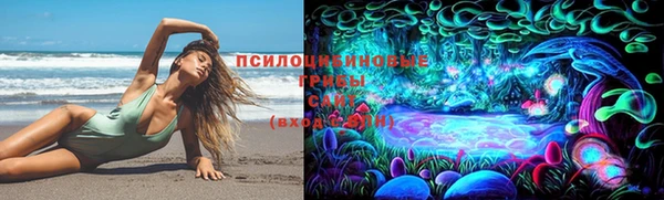 ПСИЛОЦИБИНОВЫЕ ГРИБЫ Арсеньев