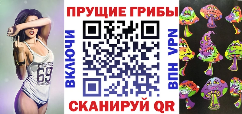 Галлюциногенные грибы Psilocybe  blacksprut маркетплейс  Балей 
